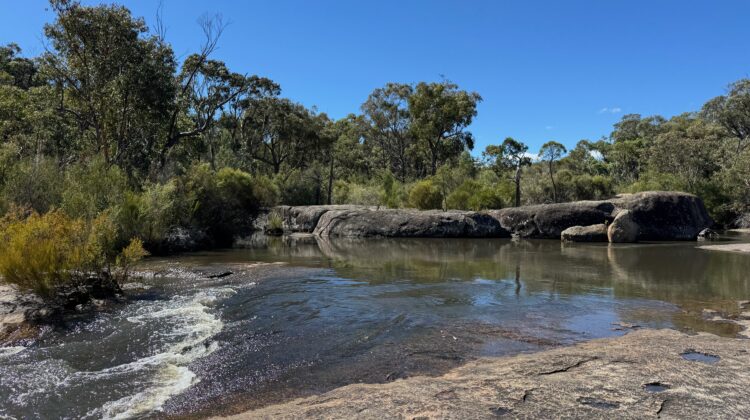 A creek flowing between granite rocks and bushland under a clear sky