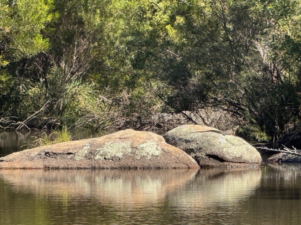 Granite boulders resting in a still creek pool
