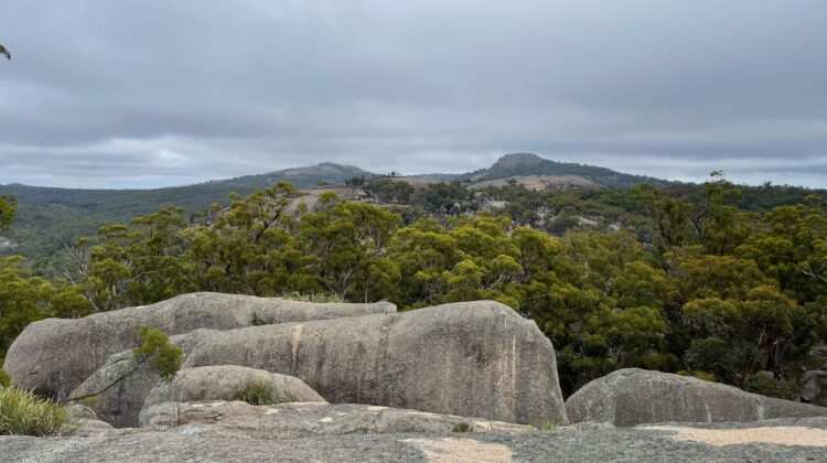 Large granite boulders resting together in the bush