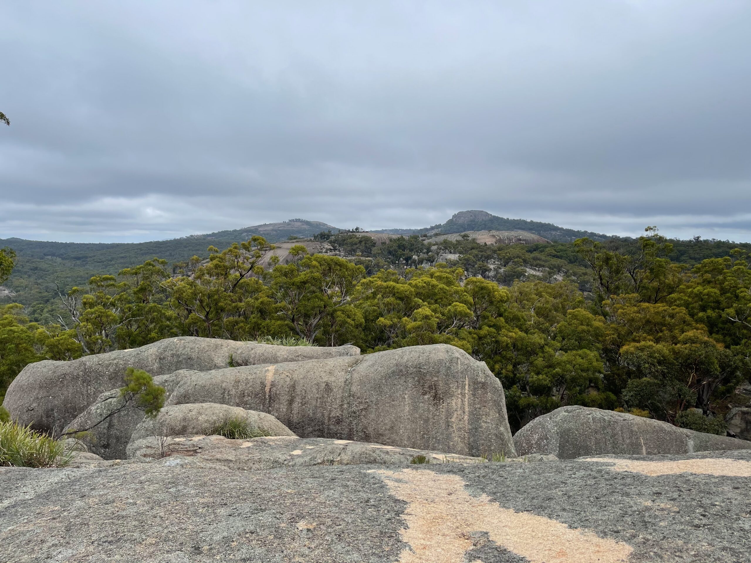 Large granite boulders resting together in the bush