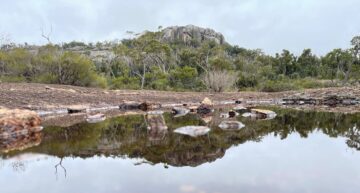 A still pool reflecting granite rocks and trees