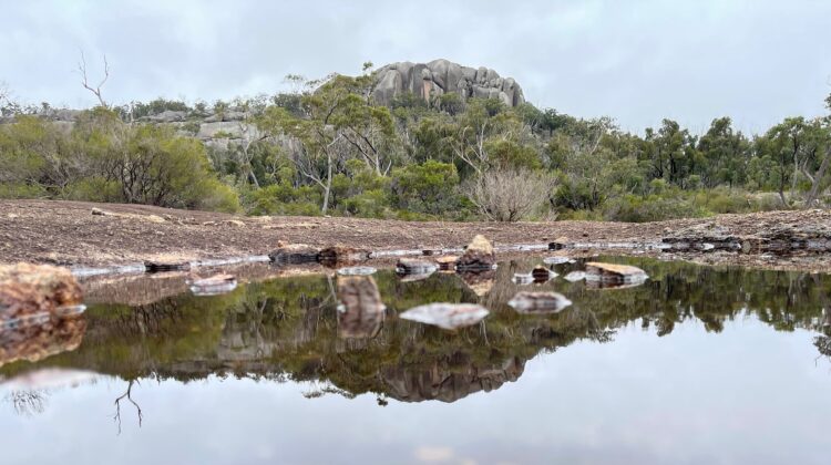 A still pool reflecting granite rocks and trees