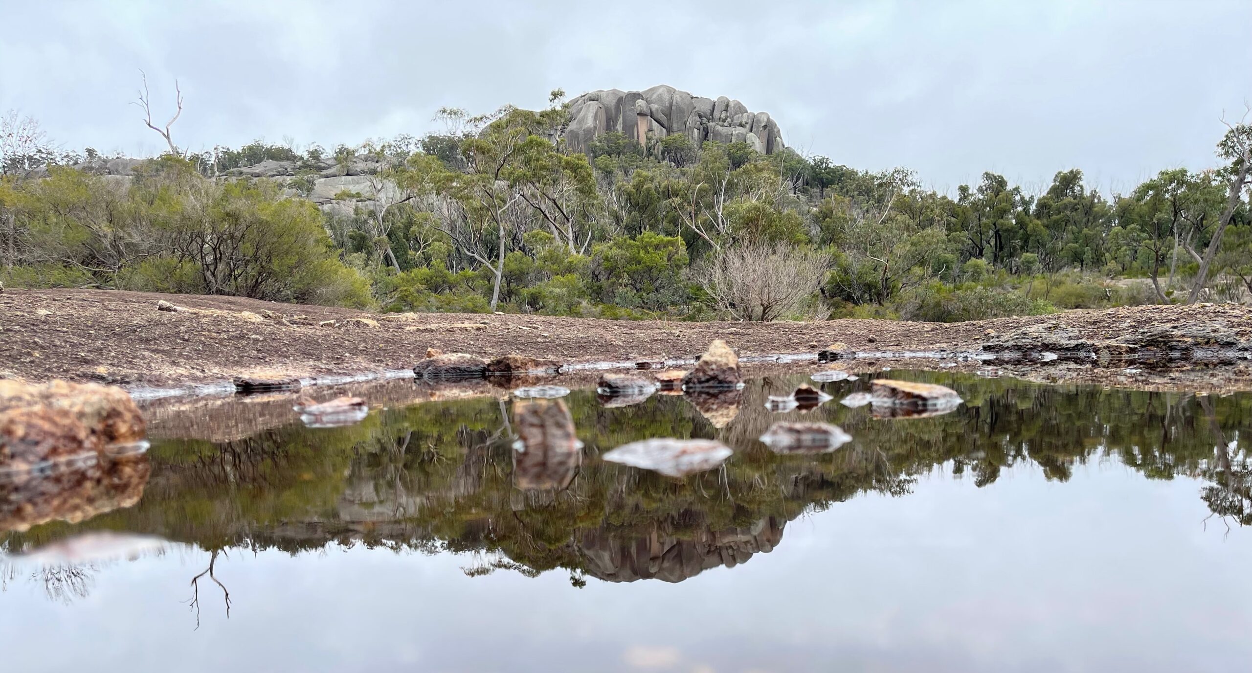 A still pool reflecting granite rocks and trees