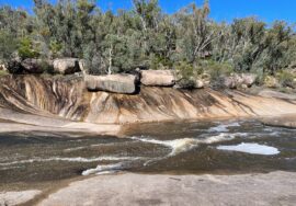 Water running over banded granite rock beside bushland