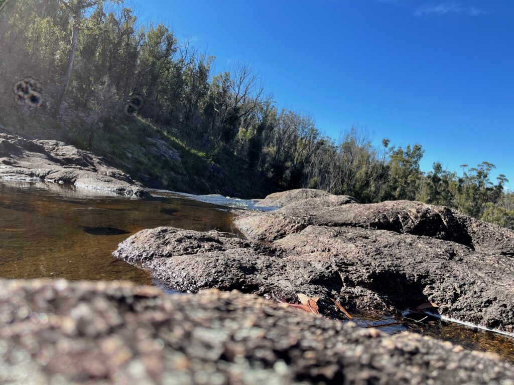 A creek pooling among granite rocks beneath bush and blue sky