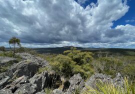 Wide bushland view beneath a sky of big clouds
