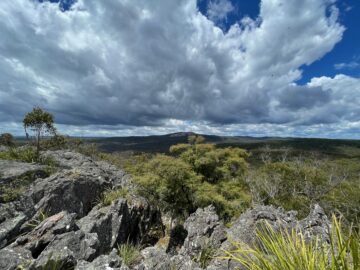 Wide bushland view beneath a sky of big clouds