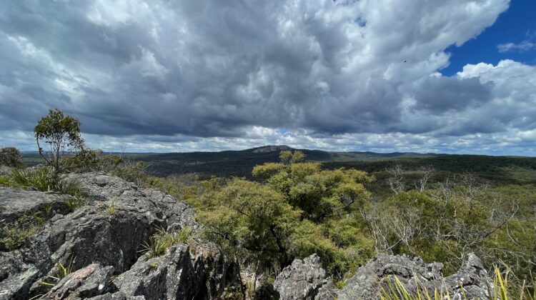 Wide bushland view beneath a sky of big clouds